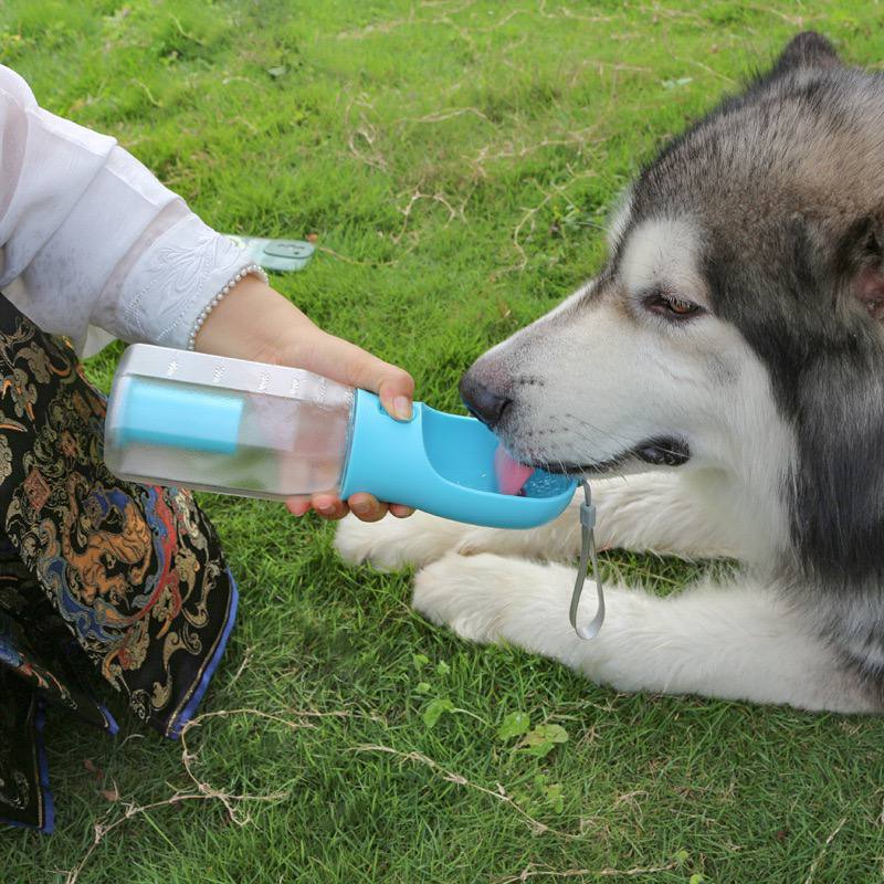 3-in-1 Dog Water Bottle